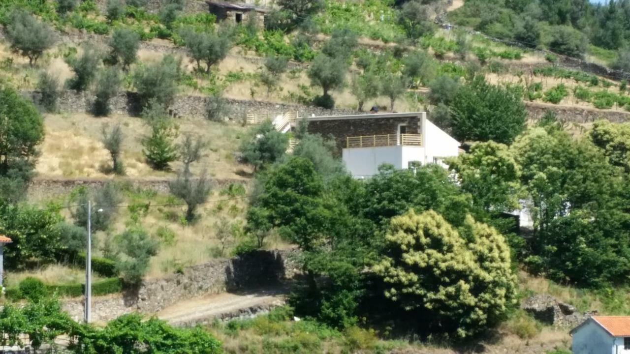 Casa Das Oliveiras - מנטגאס מראה חיצוני תמונה